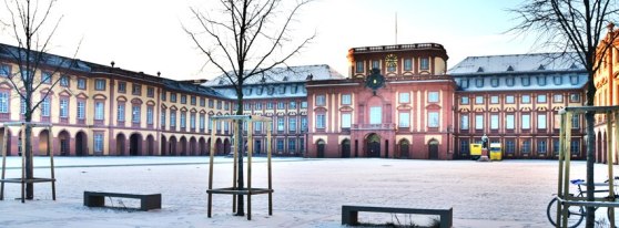 252107_10151240481493208_201037670_n