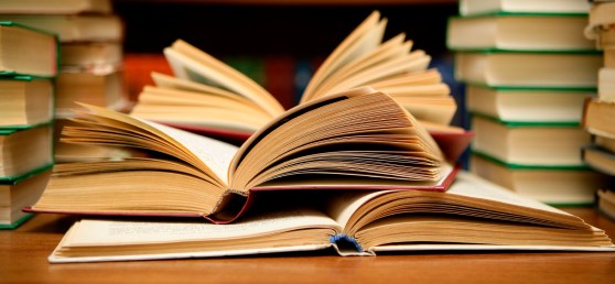 42dc1056c8d898871a9d37cb274dd160