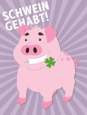 schwein