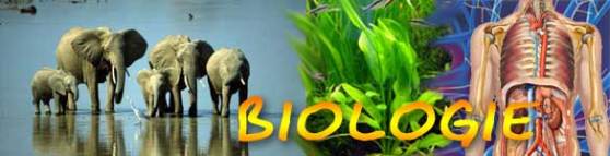 biologie1