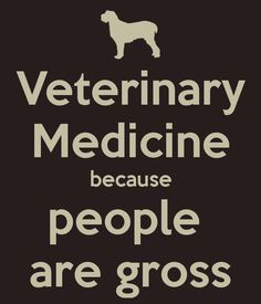 vetmed