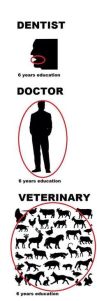 vetmed2